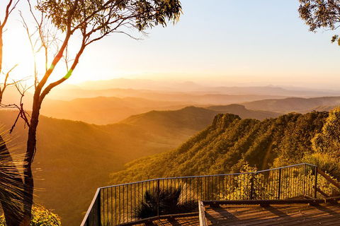 O'Reilly's & Lamington National Park Incl. Alpaca Farm + Vineyard - Tourism Canberra 0