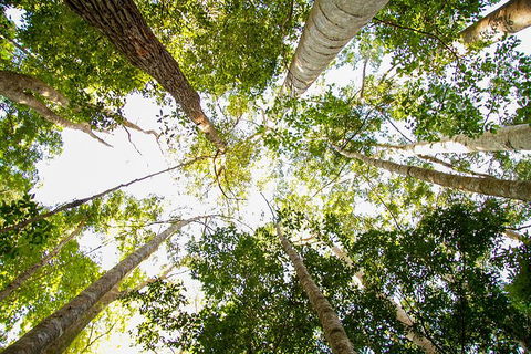 Fraser Island 4WD Tour From Noosa - Tourism Canberra 0