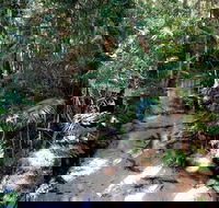 Fraser Island 4WD Tour from Rainbow Beach - Tourism Canberra