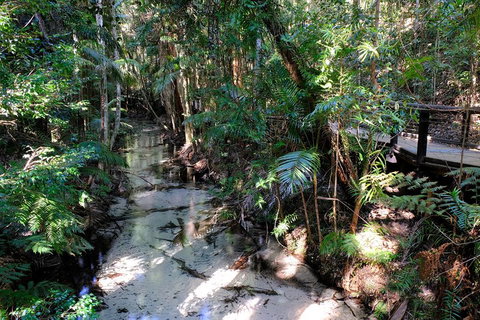 Fraser Island 4WD Tour From Rainbow Beach - Tourism Canberra 0