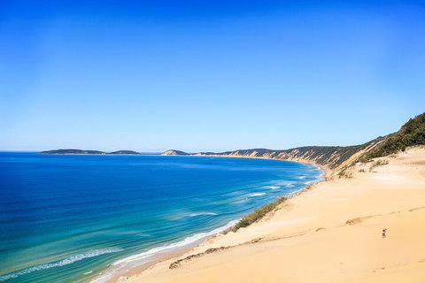 Kayak With Dolphins And 4WD Great Beach Drive Day Trip From Noosa - Tourism Canberra 0