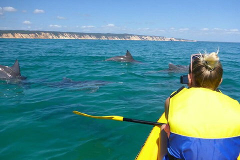 Kayak With Dolphins And 4WD Great Beach Drive Day Trip From Noosa - Tourism Canberra 1