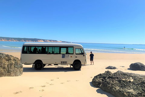 Kayak With Dolphins And 4WD Great Beach Drive Day Trip From Noosa - Tourism Canberra 4