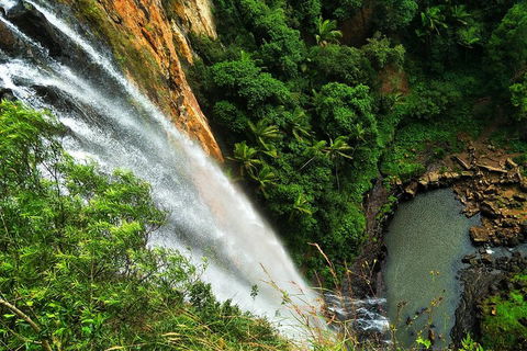 Rainforest & Waterfalls Extravaganza - Tourism Canberra 1