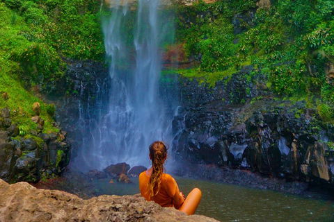Rainforest & Waterfalls Extravaganza - Tourism Canberra 2