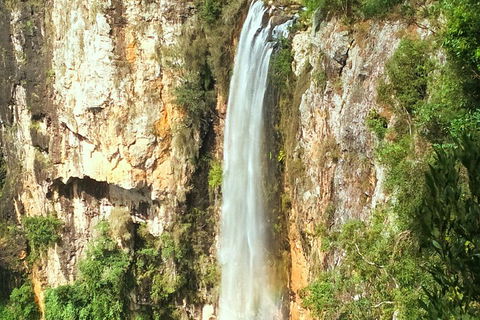 Rainforest & Waterfalls Extravaganza - Tourism Canberra 3