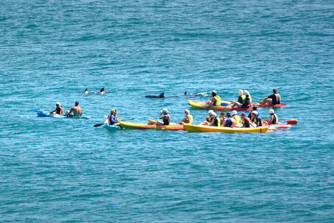 The Byron Bay Sea Kayak Tour - Tourism Canberra 1