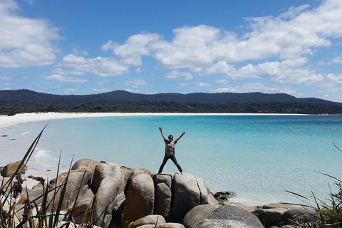 Tasmania 4 Day East Coast + Launceston - Tourism Canberra 1