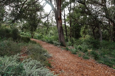 Highlights Of Kings Park - Tourism Canberra 5