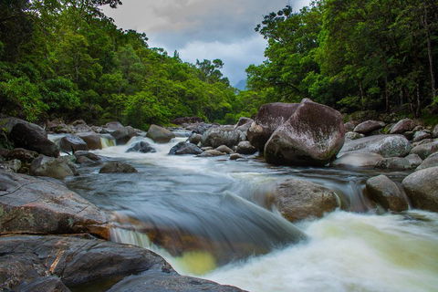 Cape Tribulation Day Tour - Tourism Canberra 0