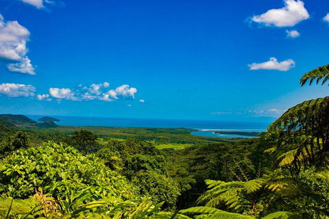 Cape Tribulation Day Tour - Tourism Canberra 3