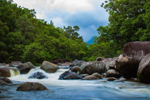 Cape Tribulation Day Tour - Tourism Canberra 4