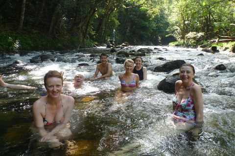 Daintree Rainforest, Cape Tribulation, Mossman Gorge Small-Group Day Tour - Tourism Canberra 0