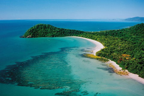 Daintree Rainforest, Cape Tribulation, Mossman Gorge Small-Group Day Tour - Tourism Canberra 4