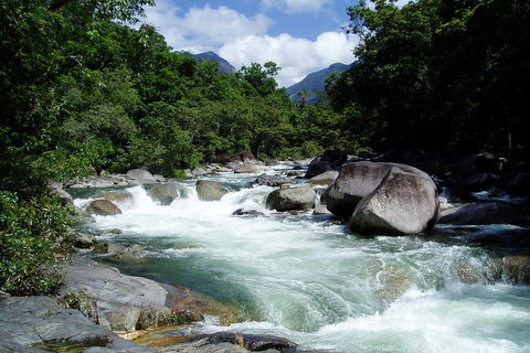 Daintree Rainforest, Cape Tribulation, Mossman Gorge Small-Group Day Tour - Tourism Canberra 5