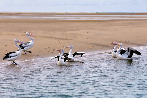 Town Of 1770 Afternoon Cruise - Tourism Canberra 4