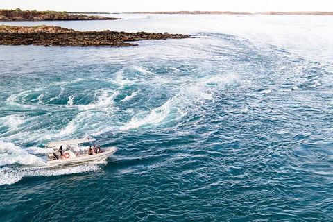 Giant Tides Tour - Cygnet Bay Pearl Farm - Tourism Canberra 4