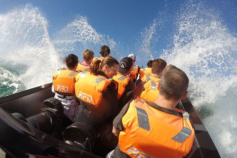 Noosa Thriller - 500hp Ocean Adventure Ride - Tourism Canberra 4