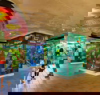 Skyrail  Kuranda Train Day Trip from Cairns - Tourism Canberra