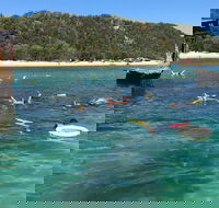 All Inclusive Dolphin and Tangalooma Wrecks Cruise - Tourism Canberra