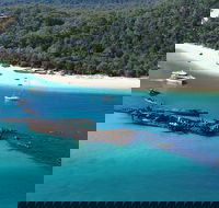 All Inclusive Tangalooma Wrecks Cruise Tour From Gold Coast - Tourism Canberra