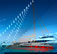 Passions of Paradise Great Barrier Reef Snorkel and Dive Cruise from Cairns by Luxury Catamaran - Tourism Canberra