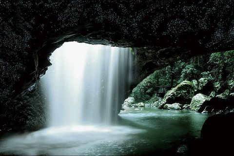 Natural Bridge Glow Worm Night Tour From Gold Coast - Tourism Canberra 0