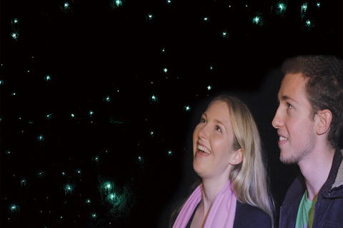 Natural Bridge Glow Worm Night Tour From Gold Coast - Tourism Canberra 3