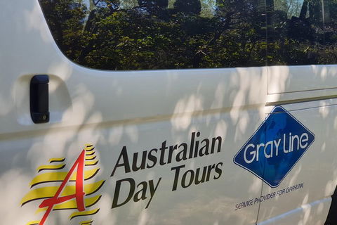 Natural Bridge Glow Worm Night Tour From Gold Coast - Tourism Canberra 5