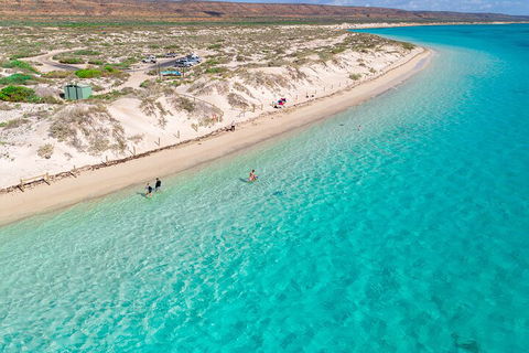 Ningaloo In A Day - Full Day Hike And Snorkel Tour With Lunch - Tourism Canberra 0