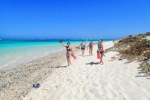 Ningaloo In A Day - Full Day Hike And Snorkel Tour With Lunch - Tourism Canberra 1