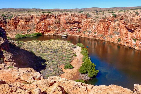 Ningaloo In A Day - Full Day Hike And Snorkel Tour With Lunch - Tourism Canberra 2