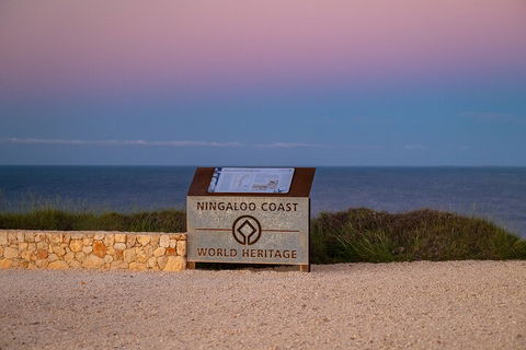 Ningaloo In A Day - Full Day Hike And Snorkel Tour With Lunch - Tourism Canberra 5