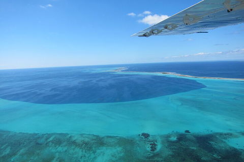 Shipwreck Special Full Day Tour Of The Abrolhos Islands - Tourism Canberra 2