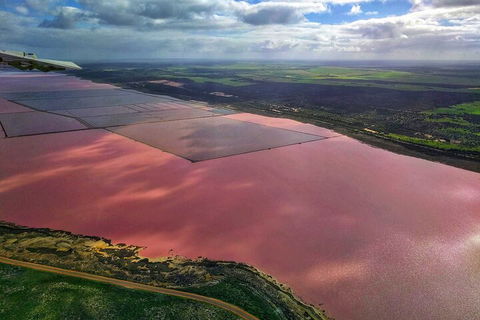 Kalbarri, Pink Lake And Abrolhos Islands Nature Tour - Tourism Canberra 1