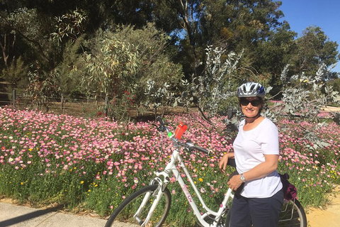 Perth Bike Tour - Beautiful Matilda Bay And Kings Park - Tourism Canberra 1