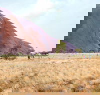 Uluru Sunrise and Guided Base Walk - Tourism Canberra