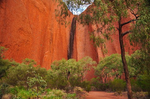 Uluru Sunrise And Guided Base Walk - Tourism Canberra 3