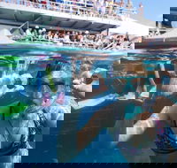 Great Barrier Reef Day Cruise from Cairns Including Snorkeling and Marine Biologist Presentation - Tourism Canberra