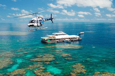 Great Barrier Reef Day Cruise From Cairns Including Snorkeling And Marine Biologist Presentation - Tourism Canberra 5