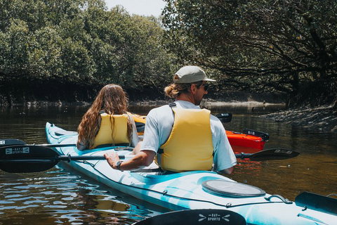 Kayak Tour In Adelaide Dolphin Sanctuary - Tourism Canberra 2