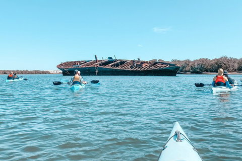 Kayak Tour In Adelaide Dolphin Sanctuary - Tourism Canberra 3