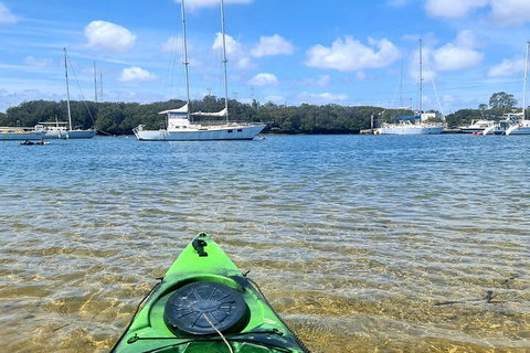 Kayak Tour In Adelaide Dolphin Sanctuary - Tourism Canberra 4