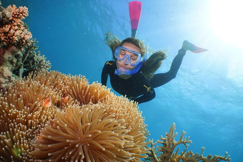 Quicksilver Outer Great Barrier Reef Snorkel Cruise From Palm Cove - Tourism Canberra 2