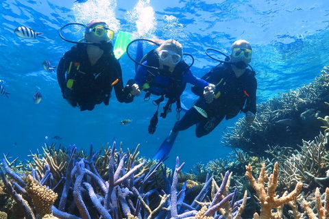 Quicksilver Outer Great Barrier Reef Snorkel Cruise From Palm Cove - Tourism Canberra 3