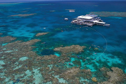 Quicksilver Outer Great Barrier Reef Snorkel Cruise From Port Douglas - Tourism Canberra 3