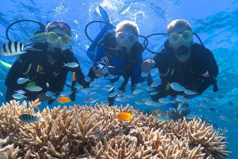 Quicksilver Outer Great Barrier Reef Snorkel Cruise From Port Douglas - Tourism Canberra 4