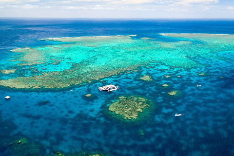 Quicksilver Outer Great Barrier Reef Snorkel Cruise From Port Douglas - Tourism Canberra 5