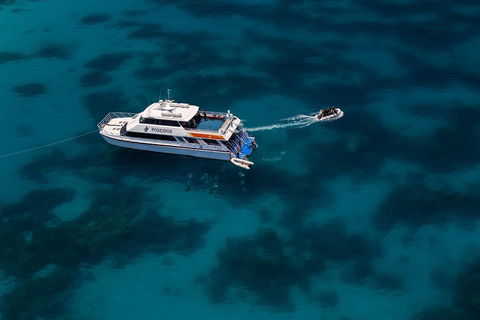 Quicksilver Dive 4 Day PADI Learn To Dive Course - Tourism Canberra 1