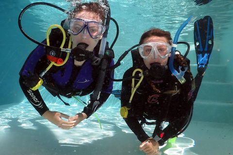 Quicksilver Dive 4 Day PADI Learn To Dive Course - Tourism Canberra 2
